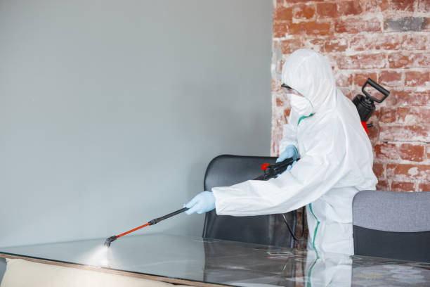 Best HVAC Mold Inspection and Cleaning  in Dublin, GA