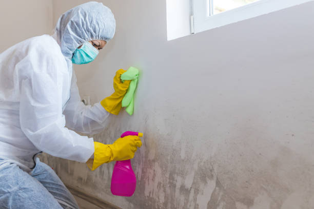 Best Emergency Mold Remediation  in Dublin, GA